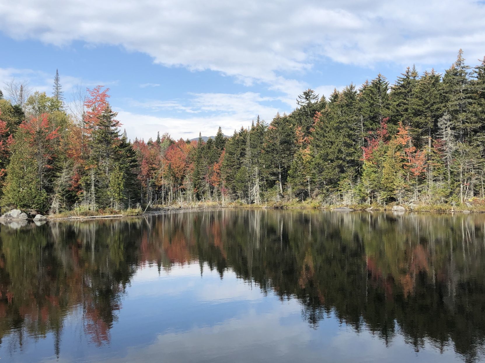 Boreas Ponds foliage